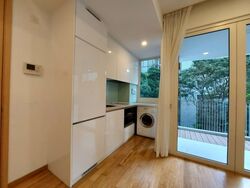 The Peak @ Cairnhill II (D9), Apartment #578286611